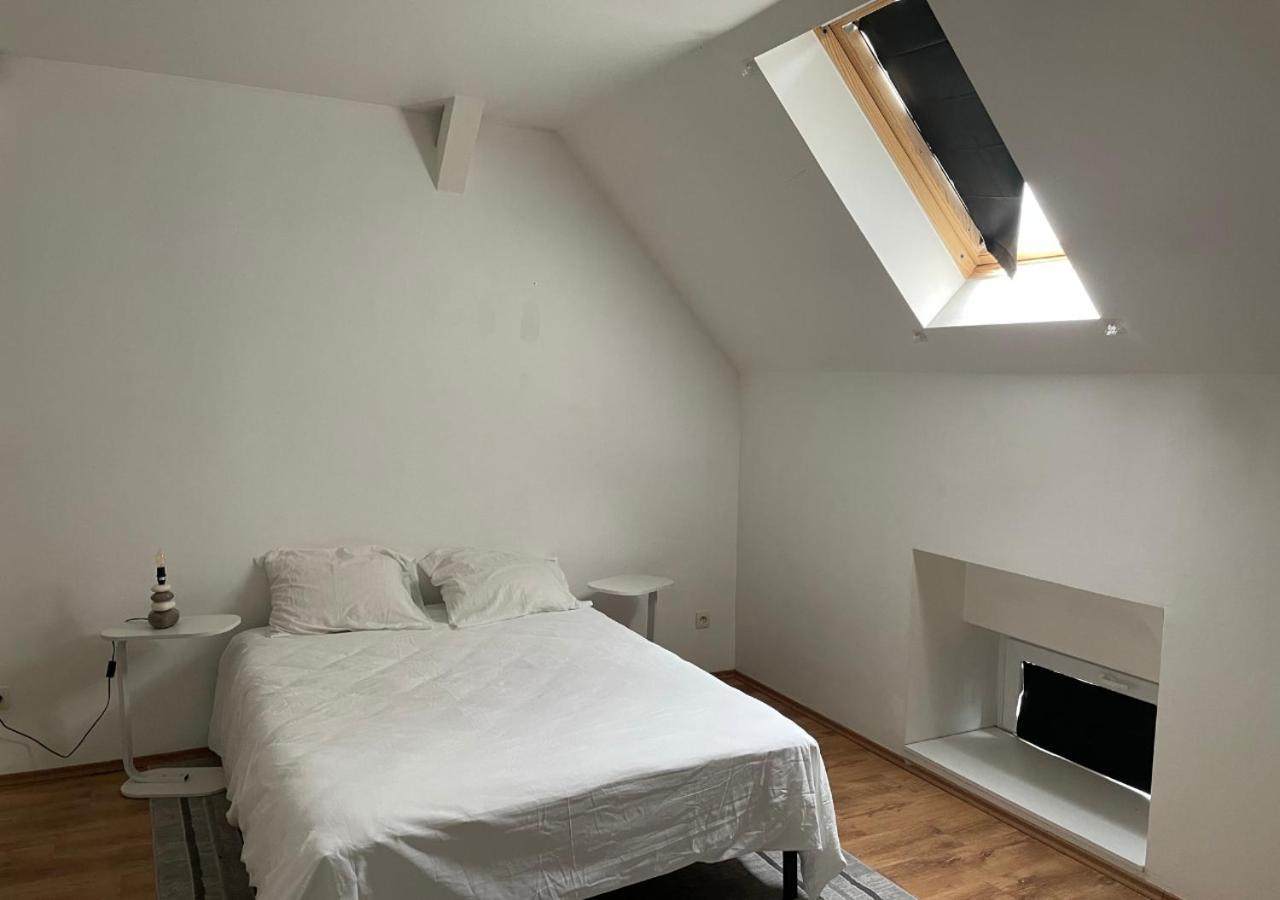 Le Wolf - 1 Privee Dans Un - 5mn Tram Du Centre - 15mn Tram Gare Tgv - Wifi - Parking * Mulhouse